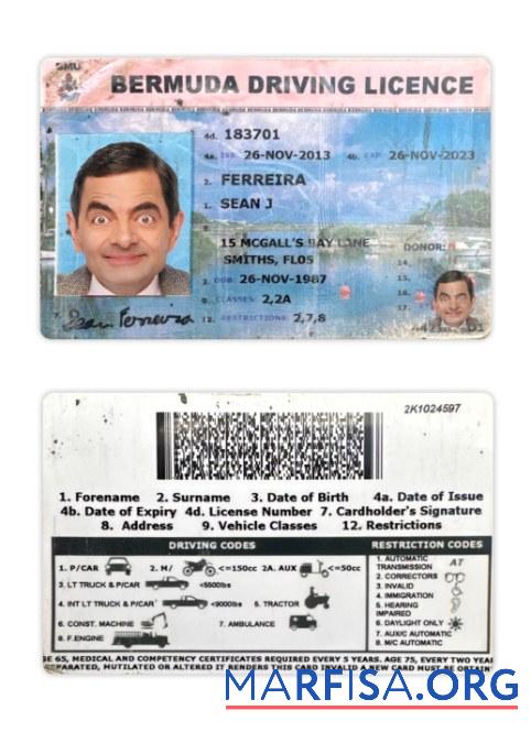 Downloadable Bermuda driving license real example
